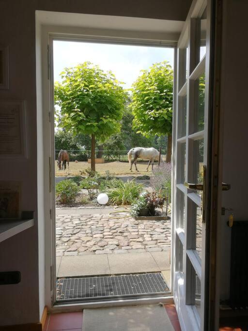 Xanadi Heilehaus Kleine Auszeit Kururlaub Daire Bruchhausen-Vilsen Dış mekan fotoğraf